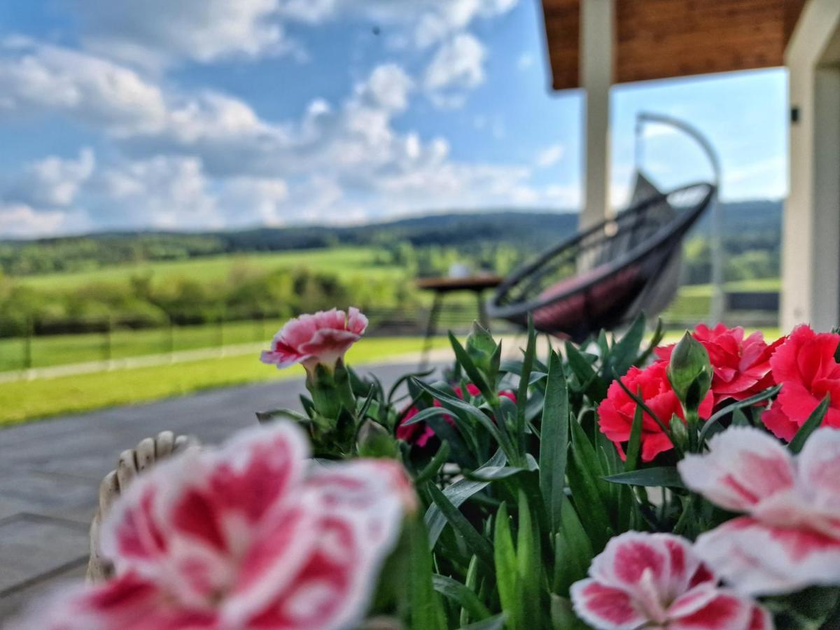 Lackowa Chill And Rest Dom Z Balia Krynica Zdroj Устя-Руське Екстер'єр фото